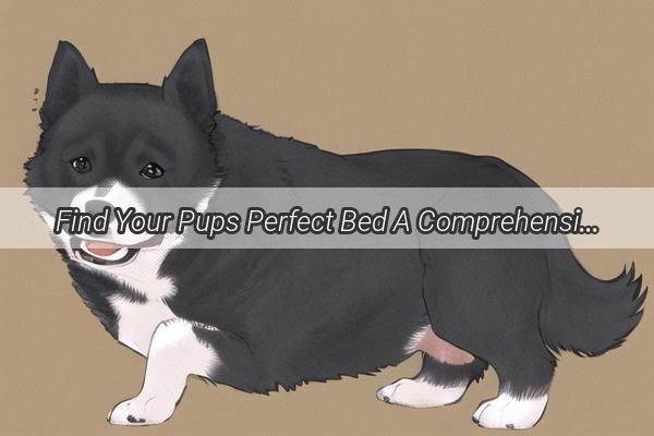 Find Your Pups Perfect Bed A Comprehensive Guide to Choosing the Ultimate Dog Pillow